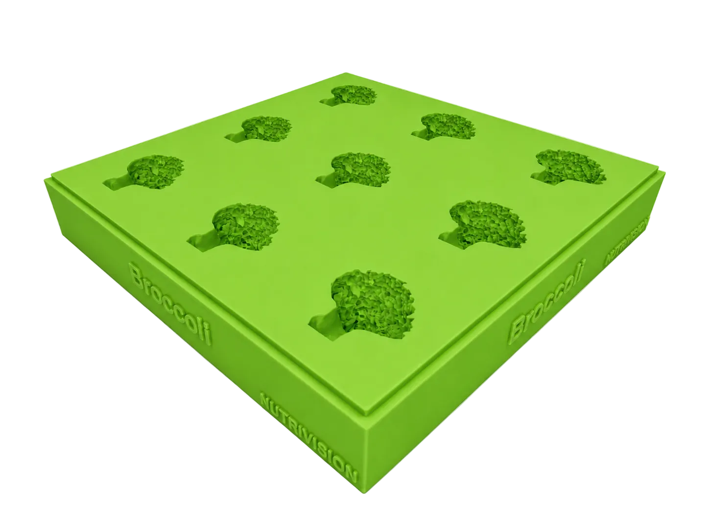 Broccoli